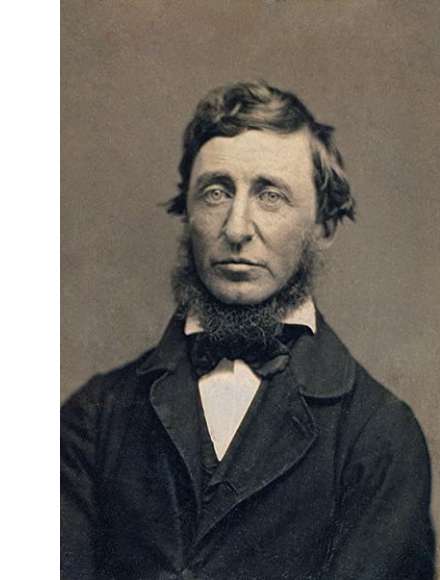 Henry D. Thoreau