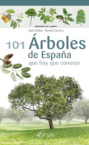 101 &Aacute;rboles De Espa&ntilde;a: que hay que conocer (Minigu&iacute;a de campo)