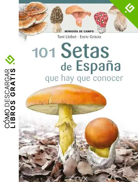101 Setas De Espa&ntilde;a: que hay que conocer (Minigu&iacute;a de campo)