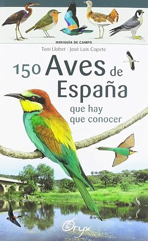 150 aves de Espa&ntilde;a que hay de conocer: que hay que conocer (Minigu&iacute;a de campo)