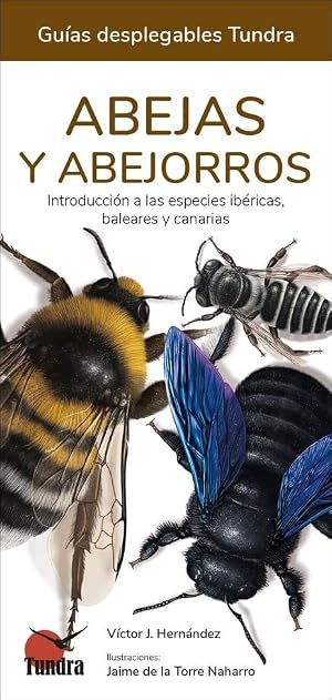 Abejas y abejorros