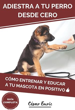 Adiestra a tu Perro Desde Cero: C&oacute;mo Entrenar y Educar a tu Mascota en Positivo. Gu&iacute;a Completa: T&eacute;cnicas, Trucos y Habilidades para el Adiestramiento Canino de tu Cachorro