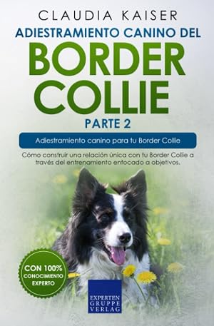 Adiestramiento canino del Border Collie parte 2: C&oacute;mo construir una relaci&oacute;n &uacute;nica con tu Border Collie a trav&eacute;s del entrenamiento enfocado a objetivos