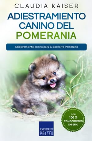 Adiestramiento canino del Pomerania: Adiestramiento canino para su cachorro Pomerania