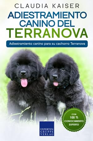 Adiestramiento canino del Terranova: Adiestramiento canino para su cachorro Terranova
