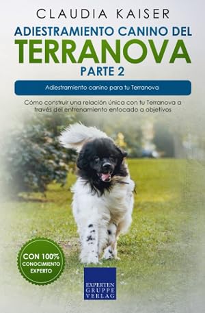 Adiestramiento canino del Terranova parte 2: C&oacute;mo construir una relaci&oacute;n &uacute;nica con tu Terranova a trav&eacute;s del entrenamiento enfocado a objetivos
