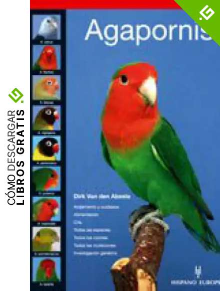 Agapornis (Pajaros / Birds)