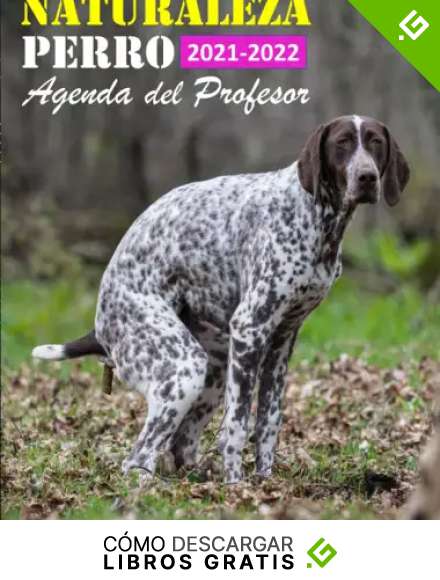 Agenda del Profesor 2021 2022 - Naturaleza Perro: El Mejor Regalo del Mundo para Profesor y Profesora - Un Regalo Original, Memorable, Divertido y ... Trabajo, Mujer, Hombre...Cumplea&ntilde;os, Navidad.