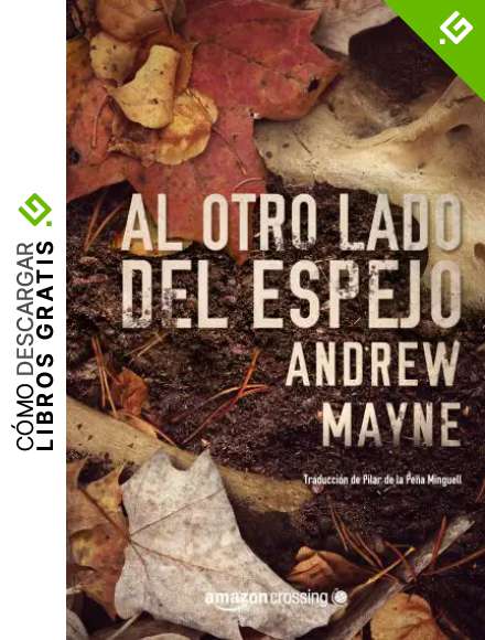 Al otro lado del espejo (Las investigaciones de Theo Cray n&ordm; 2)