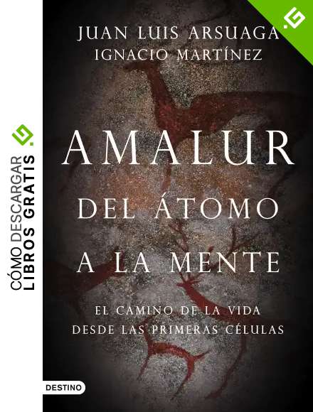 Amalur (Imago Mundi)