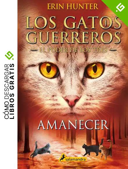 Amanecer (Los Gatos Guerreros | El Poder de los Tres 6)