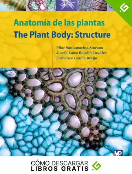 Anatom&iacute;a de las plantas/The Plant Body: Structure (Bot&aacute;nica)