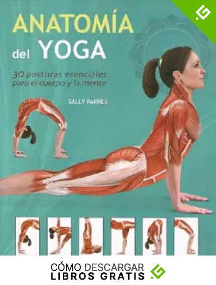 Anatom&iacute;&shy;a del yoga