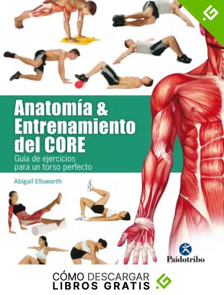 Anatom&iacute;a y entrenamiento del core: Gu&iacute;a de ejercicios para un torso perfecto