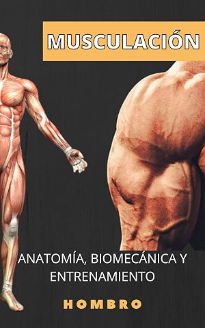 Anatom&iacute;a Y musculaci&oacute;n. Hombros: Conocimientos para un cuerpo superior. (Anatom&iacute;a y entrenamiento n&ordm; 4)