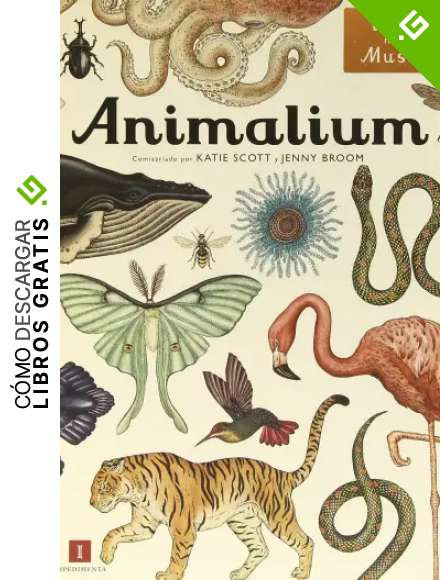 Animalium (EL CHICO AMARILLO)
