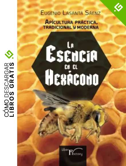 Apicultura pr&aacute;ctica tradicional y moderna: La esencia en el HEX&Aacute;GONO