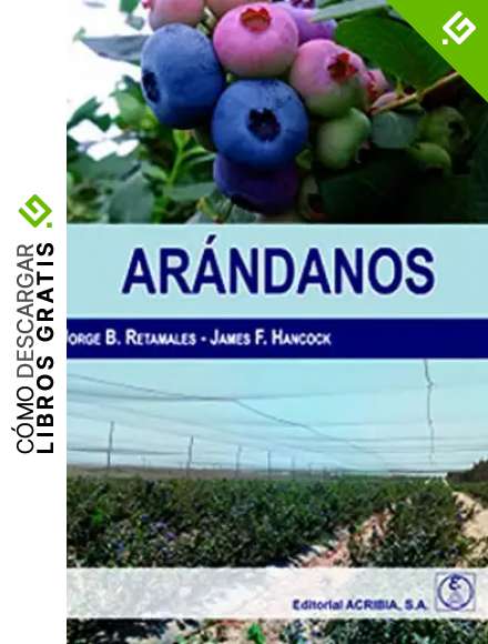 Arandanos