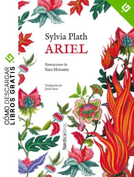 Ariel (4&ordf;ED) (ILUSTRADOS)