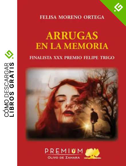 Arrugas en la memoria: XXX Premio Felipe Trigo (Finalista)