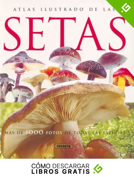 Atlas Ilustrado De Las Setas