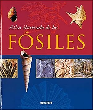 Atlas Ilustrado De Los Fosiles