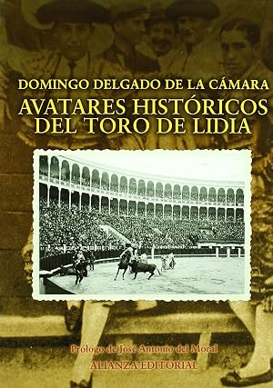 Avatares hist&oacute;ricos del toro de lidia