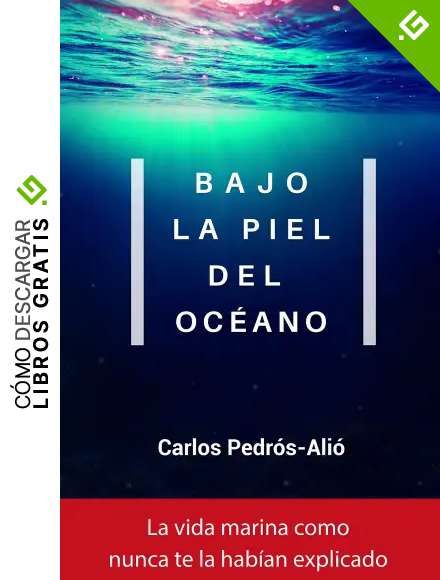 Bajo la piel del oc&eacute;ano