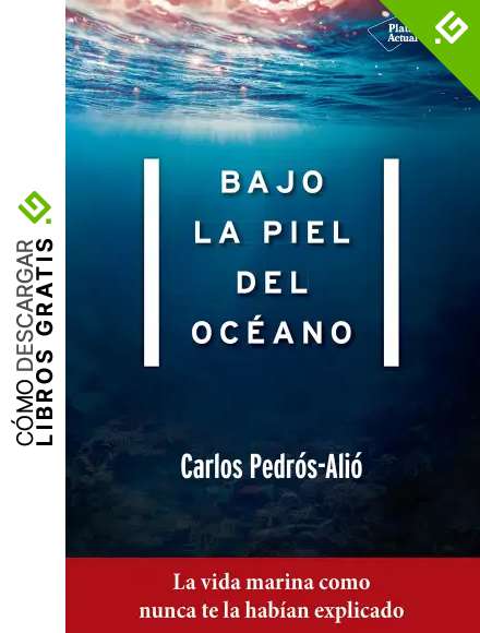 Bajo la piel del oc&eacute;ano: La vida marina como nunca te la hab&iacute;an explicado