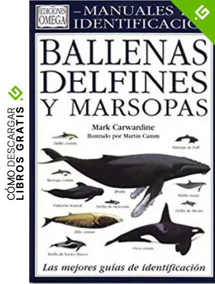 BALLENAS DELFINES Y MARSOPAS.MAN.IDENT. (GUIAS DEL NATURALISTA-PECES-MOLUSCOS-BIOLOGIA MARINA)
