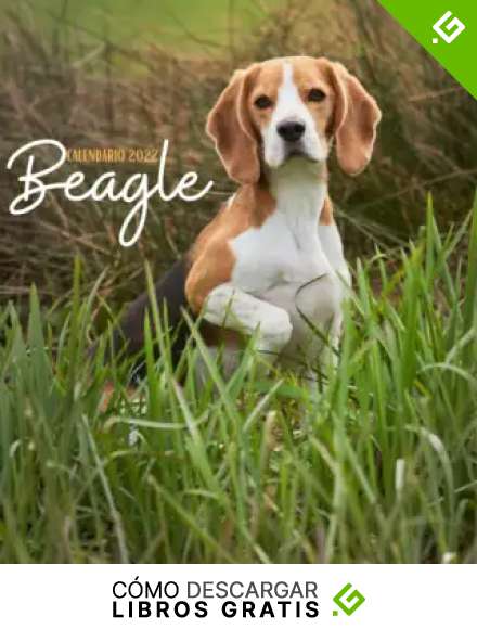 Beagle Calendario 2022: Calendario 2022 8.5''x8.5'' - Regalos para familiares y amigas amigos - Animales divertidos