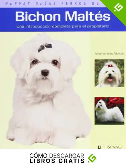 Bichon Malt&eacute;s (Nuevas gu&iacute;as perros de raza)