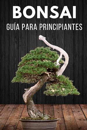 Bons&aacute;i gu&iacute;a para principiantes: Cuidados esenciales del bons&aacute;i