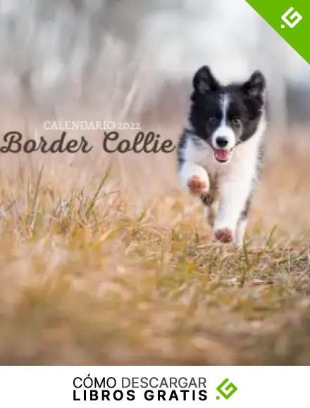 Border Collie Calendario 2022: Calendario 2022 8.5''x8.5'' - Regalos para familiares y amigas amigos - Animales divertidos