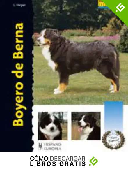 Boyero de Berna (Excellence-Raza especial)