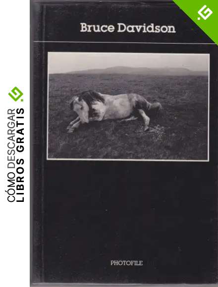 Bruce Davidson (Photofile) /allemand/italien