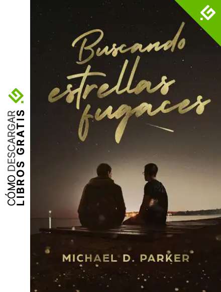 Buscando estrellas fugaces (Aqu&iacute; y ahora)