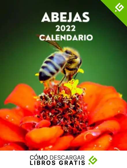 Calendario Abejas Enero 2022 - Diciembre 2022: Cuadrado Libro de Fotos Planificador Mensual Calendario de regalo para los amantes del Abejas I Abejas ... y mujeres I Con los d&iacute;as festivos de EE.UU.