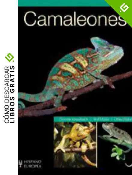 Camaleones (Reptiles)