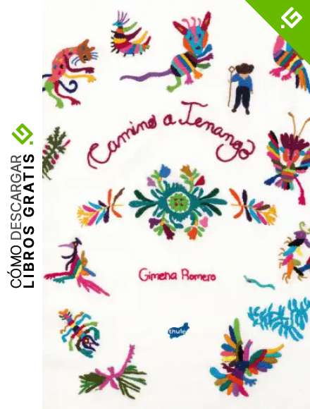 Camino A Tenango (Acervo)