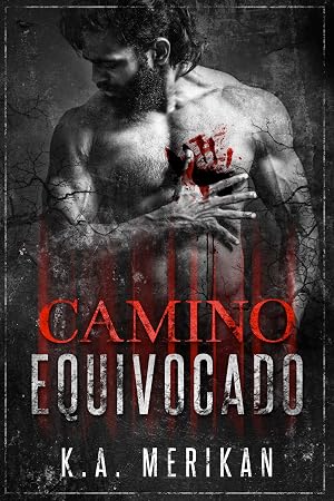 Camino equivocado : gay romance