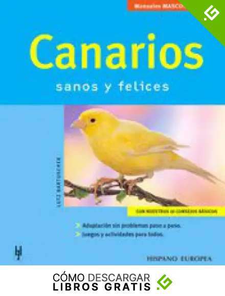 Canarios (Mascotas en casa)