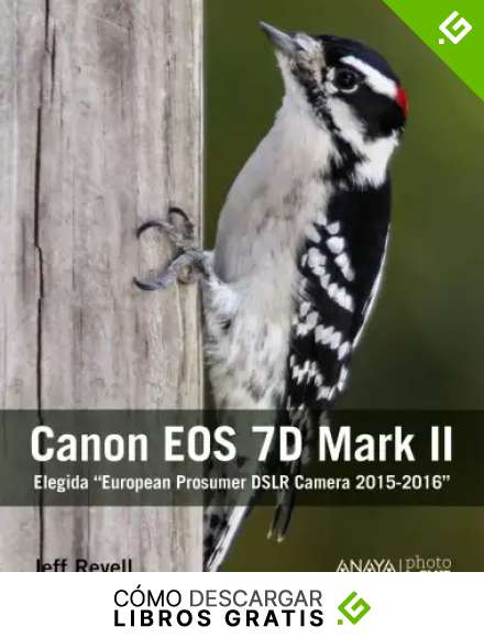 Canon EOS 7D Mark II (Photoclub)