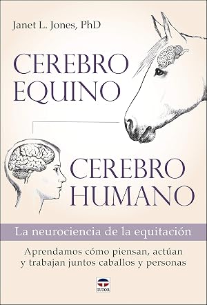 Cerebro equino, cerebro humano: La neurociencia de la equitaci&oacute;n