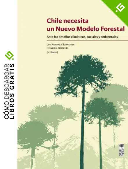 Chile necesita un nuevo modelo forestal: Ante los desaf&iacute;os clim&aacute;ticos, sociales y ambientales