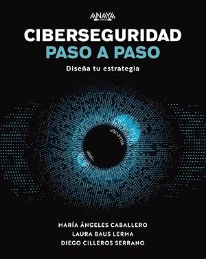 Ciberseguridad paso a paso: Dise&ntilde;a tu estrategia (T&Iacute;TULOS ESPECIALES)