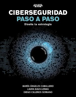 Ciberseguridad paso a paso: Dise&ntilde;a tu estrategia (T&Iacute;TULOS ESPECIALES)