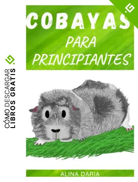 Cobayas para principiantes: Cuidado adecuado del conejillo de Indias