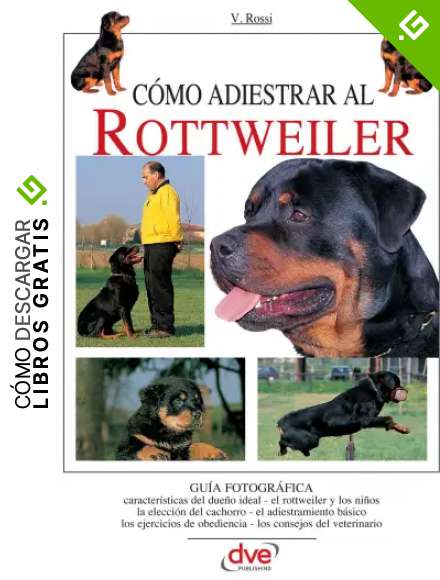 C&oacute;mo adiestrar al Rottweiler
