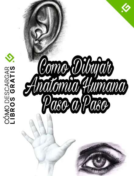 Como Dibujar Anatomia Humana Paso a Paso: Aprende a dibujar partes de cuerpo humano realista